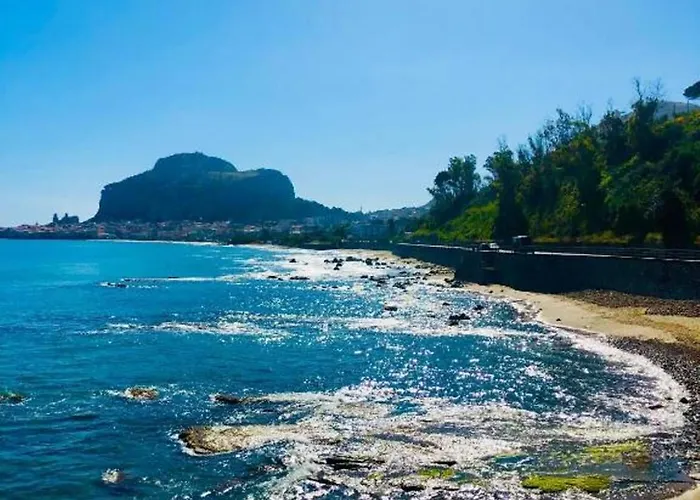 Daire Aurora House *